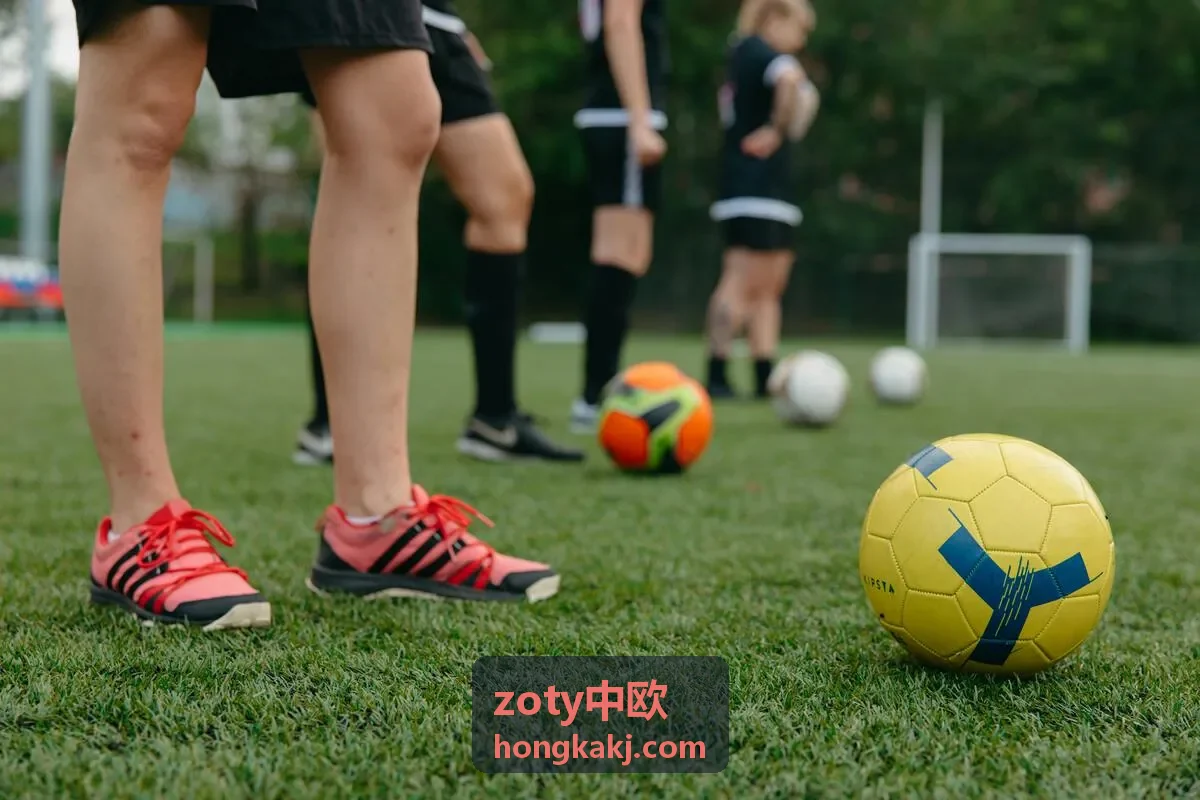 zoty中欧案例家具品牌