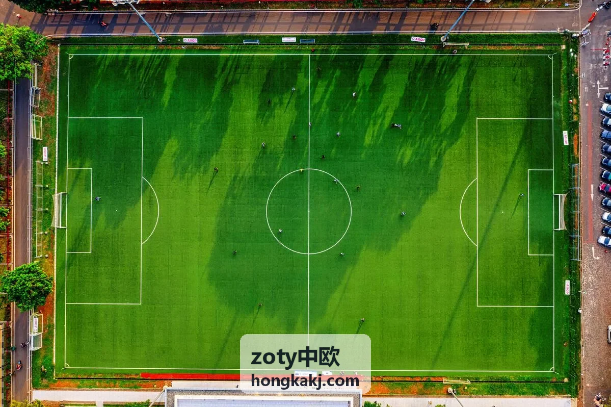 zoty中欧案例电子制造
